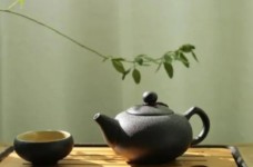 南山寿眉介绍