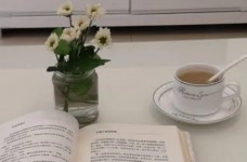无锡毫茶大概多少钱一斤