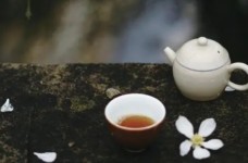 九龙茶是什么