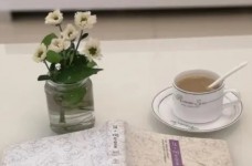 宝顶绿茶价格
