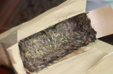 茯砖茶的金花是什么