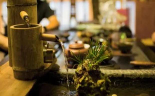 上饶白眉是绿茶么.jpg 上饶白眉是绿茶么.jpg