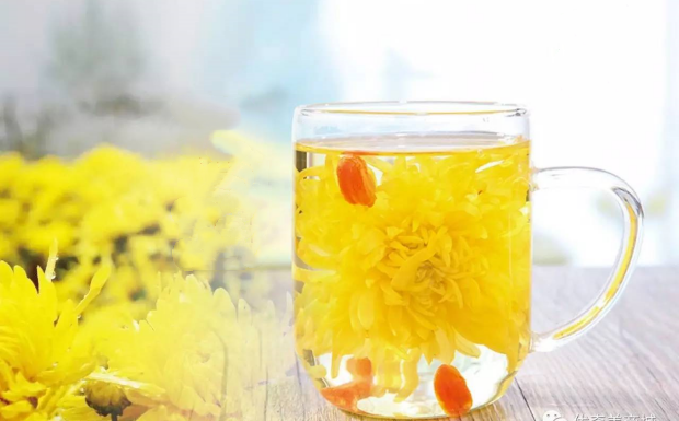 金丝皇菊可以泡酒吗.png 金丝皇菊可以泡酒吗.png