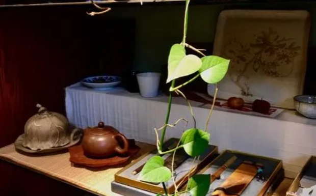 径山茶多少一斤.jpg 径山茶多少一斤.jpg