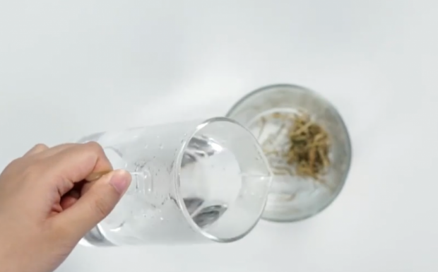金银花茶怎么泡效果好.png