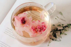喝桃花茶一般放几朵
