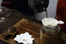 金刚碧绿多少钱一斤