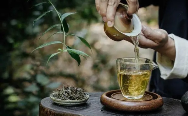 英山云雾茶的功效与作用.jpg 英山云雾茶的功效与作用.jpg