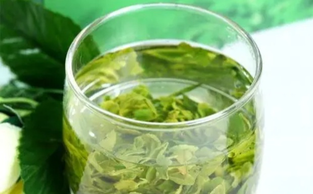蒙顶茶有哪些特点.jpg 蒙顶茶有哪些特点.jpg