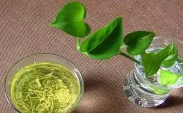 江西狗牯脑茶有哪些功效.jpg 江西狗牯脑茶有哪些功效.jpg
