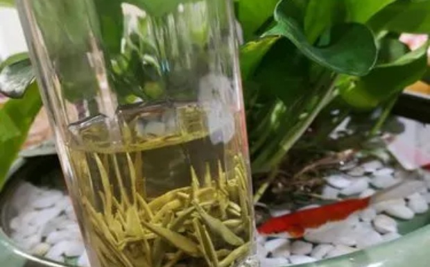 茅山青峰属于什么茶.jpg 茅山青峰属于什么茶.jpg