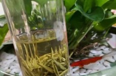 茅山青峰属于什么茶