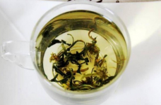 金银花和蒲公英可以一起泡水喝吗