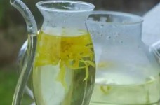 信阳白茶的名字由来