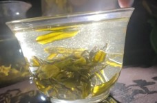 文君绿茶传承人是谁