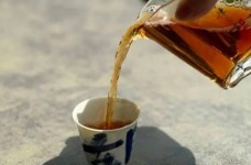 平阳黄汤是什么茶类