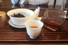 兰馨雀舌怎么样