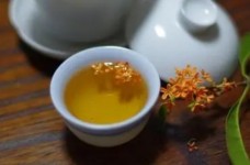 霍山黄芽介绍