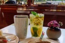 冻顶乌龙茶是红茶还是绿茶
