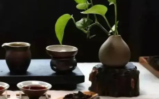 水金龟口感特点.jpg