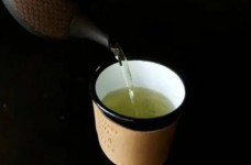 鹿苑毛尖什么天气采摘最好