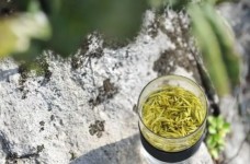 温州黄汤创始于哪个朝代