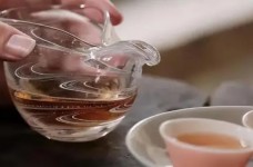 闽红属于什么茶