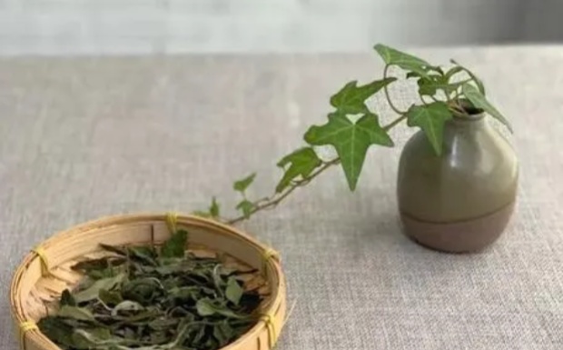 川红工夫红茶什么档次.jpg 川红工夫红茶什么档次.jpg