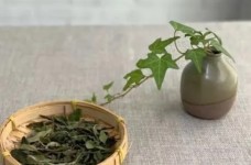 川红工夫红茶什么档次