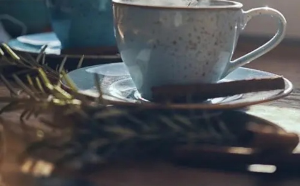 蛹虫草茯茶属于什么茶.jpg 蛹虫草茯茶属于什么茶.jpg