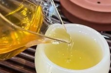 远安黄茶属于什么茶