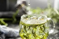 冻顶乌龙茶属于什么档次