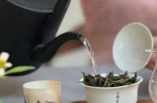 竹叶茶怎么泡最好喝