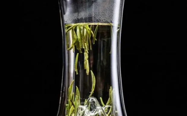 栀子茶的功效与作用.jpg 栀子茶的功效与作用.jpg