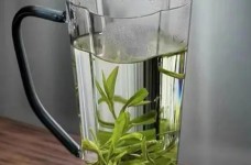 水金龟是红茶吗