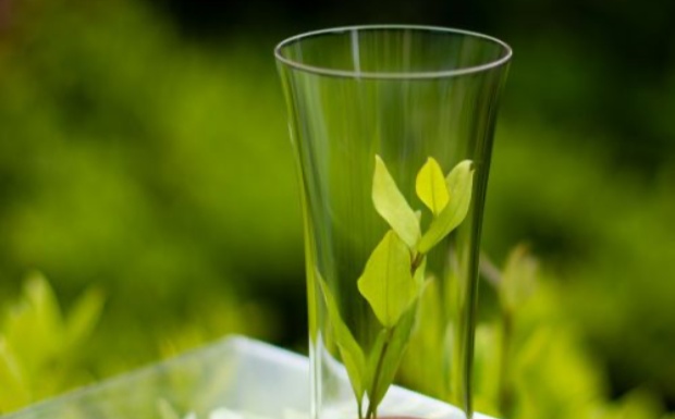 屯溪绿茶属于什么茶.jpg 屯溪绿茶属于什么茶.jpg