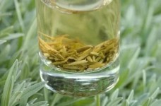 薄荷茶的功效与主治