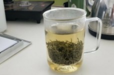 阳羡雪芽名字由来