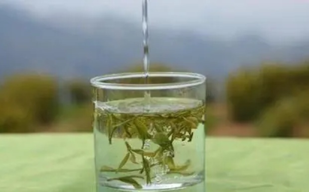 普洱茶属于哪类茶.jpg 普洱茶属于哪类茶.jpg