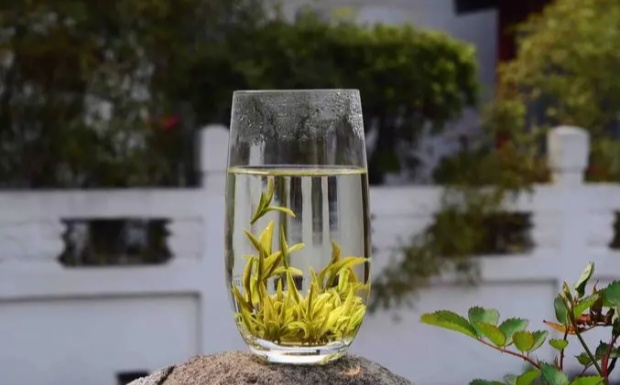 蒲公英茶有没有减肥的作用.jpg 蒲公英茶有没有减肥的作用.jpg