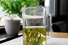 海马宫茶是黄小茶吗