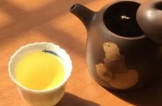 水金龟属于什么档次