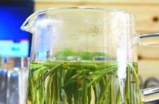 薄荷茶可以天天喝吗