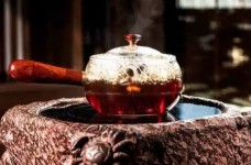 苦丁茶属于什么茶种类