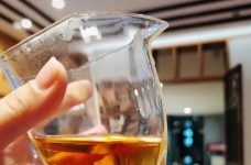 龙岩斜背茶属于什么档次