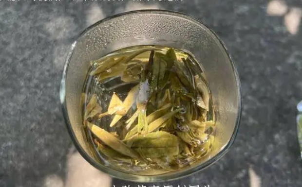 远安黄茶的价格多少.jpg 远安黄茶的价格多少.jpg