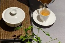信阳白茶多少钱一斤