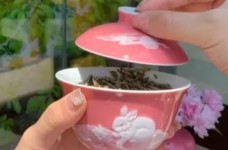 宁波白茶产地哪里最好