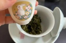 平阳黄汤多少钱一斤