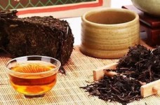 英德红茶英红九号功效